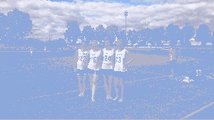 Lacrosse Damen Team 