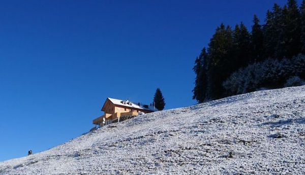 Alpenrosenhütte