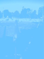 ABV Sportplatz